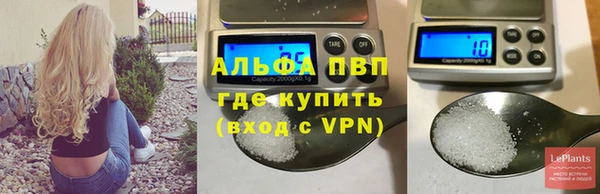 гидра Гусь-Хрустальный