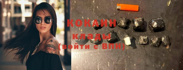 ПСИЛОЦИБИНОВЫЕ ГРИБЫ Гусев