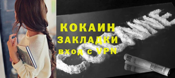 ПСИЛОЦИБИНОВЫЕ ГРИБЫ Гусев