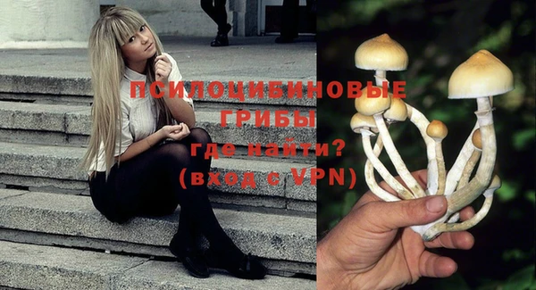 мескалин Гусиноозёрск