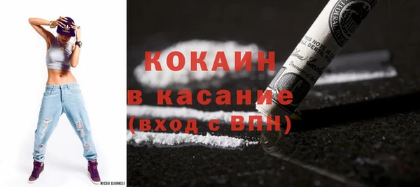 гидра Гусь-Хрустальный