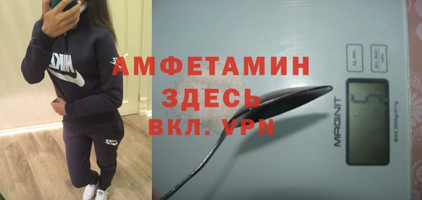 гидра Гусь-Хрустальный
