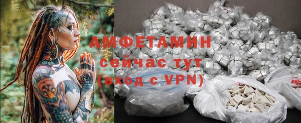 гидра Гусь-Хрустальный