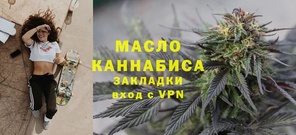 гидра Гусь-Хрустальный