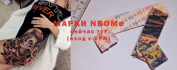 гидра Гусь-Хрустальный