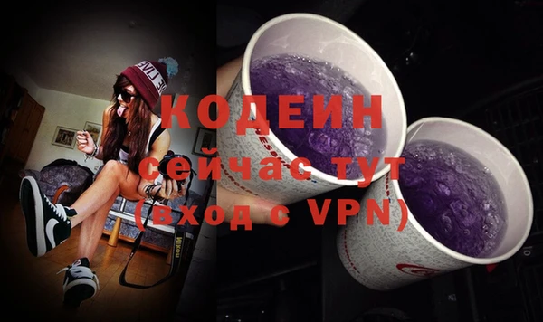 ПСИЛОЦИБИНОВЫЕ ГРИБЫ Гусев