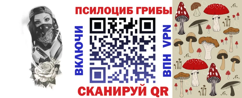 Купить закладки  Красный Холм  Галлюциногенные грибы ЛСД 